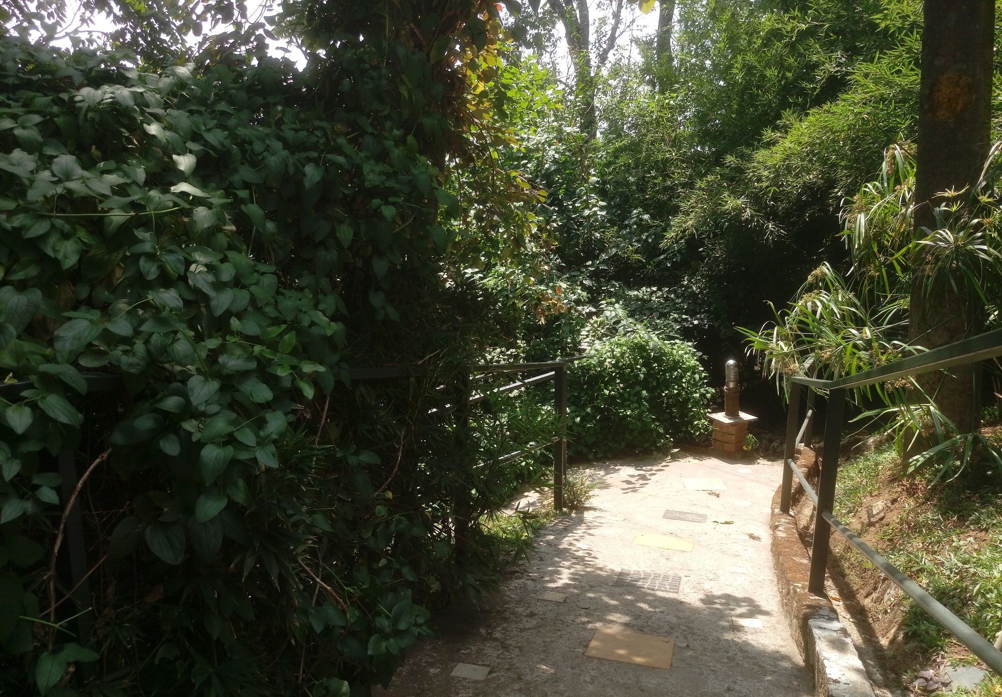 Spicetree Munnar Hotel Chinnakanal Екстериор снимка